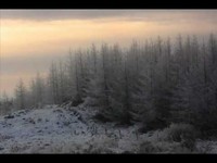 pochette album The hawthorne passage