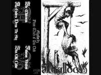 pochette album The wilderness