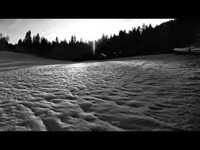 pochette album Tomorrow will never come