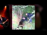 pochette album Big cat