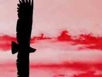 pochette album Rauhassa