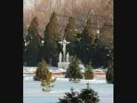 pochette album Mum's dying