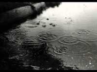 pochette album Ain't no sunshine