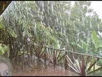 pochette album A remark you made