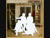 pochette album How i learned to stop worrying and love peter sellers