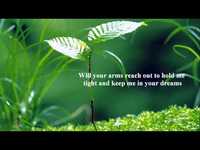 pochette album When i'm gone