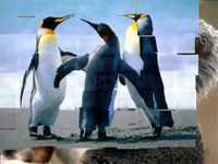 pochette album Quedate