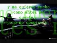 pochette album Hoy que estas ausente