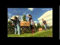 pochette album Apple bush