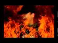 pochette album Wish you were here