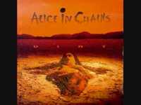 pochette album Here comes the rooster