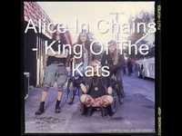 pochette album King of the kats