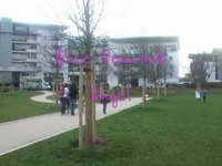 pochette album Angel