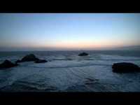 pochette album If i could talk to god