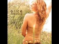 pochette album Lovely