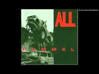 pochette album Hetero