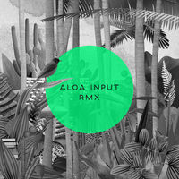 pochette album Someday morning