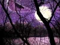 pochette album Dream machine