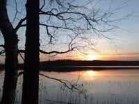 pochette album If the audience was listening