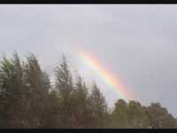 pochette album Romance