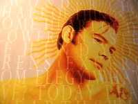 pochette album Sweet needles of success