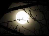 pochette album Earth: as a womb