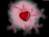 pochette album Niente da capire