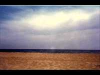 pochette album Jenny