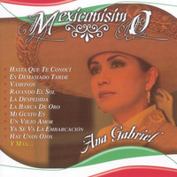 pochette album Ya se va la embarcación