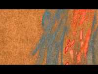 pochette album To renew, cause to grow, or bloom again