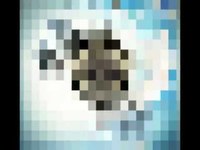 pochette album The beginning and the end (traduction)