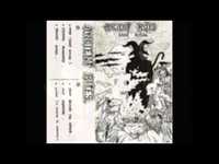 pochette album Fallen angel