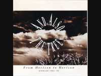 pochette album Shantell