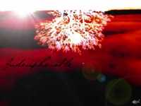 pochette album The critical distance