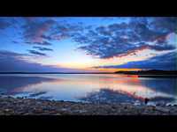 pochette album Romance - the gadfly