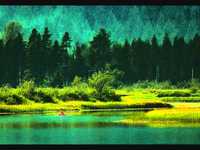 pochette album Todo mi amor