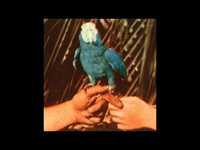 pochette album Saints preservus