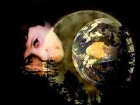 pochette album Strange thing mystifying