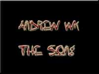 pochette album The song