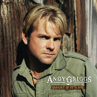 pochette album What if it's me