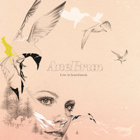 pochette album Temporary dive