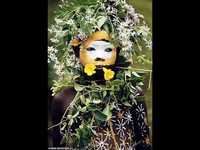 pochette album Afirika