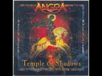 pochette album Shadow hunter