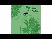 pochette album A manatee dance