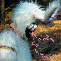 pochette album Who could win a rabbit