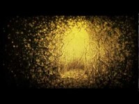 pochette album I don't want love