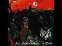 pochette album Savo kelyje