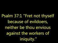 pochette album (don't fear) the people