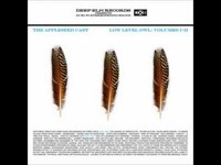 pochette album The last in a line