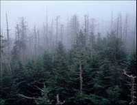 pochette album Cars and telephones